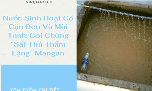 Nước Sinh Hoạt Có Cặn Đen Và Mùi Tanh: Coi Chừng 