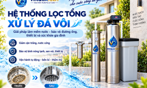 Dịch Vụ Lắp Đặt Hệ Thống Lọc Tổng Xử Lý Đá Vôi