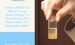 Amoni, Nitrit Và Nitrat Trong Nước Giếng: Vì Sao Không Thể Nhận Biết Chỉ Bằng Màu Mùi?