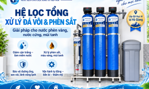 Dịch Vụ Lắp Đặt Hệ Thống Lọc Tổng Xử Lý Đá Vôi & Phèn Sắt