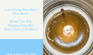 Cặn Vàng Nâu Bám Bồn Nước: Kiểm Tra Sắt, Đường Ống Hay Bồn Chứa Thế Nào?