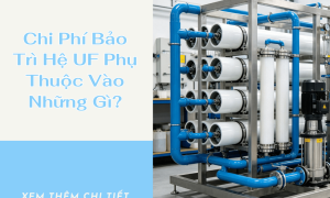 Chi Phí Bảo Trì Hệ UF Phụ Thuộc Vào Những Gì?