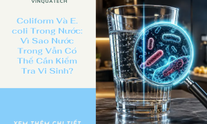 Coliform Và E. coli Trong Nước: Vì Sao Nước Trong Vẫn Có Thể Cần Kiểm Tra Vi Sinh?