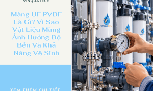 Màng UF PVDF Là Gì? Vì Sao Vật Liệu Màng Ảnh Hưởng Độ Bền Và Khả Năng Vệ Sinh