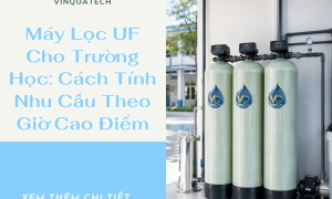 Máy Lọc UF Cho Trường Học: Cách Tính Nhu Cầu Theo Giờ Cao Điểm