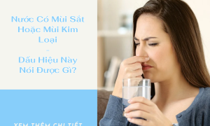 Nước Có Mùi Sắt Hoặc Mùi Kim Loại: Dấu Hiệu Này Nói Được Gì?