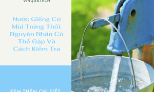 Nước Giếng Có Mùi Trứng Thối: Nguyên Nhân Có Thể Gặp Và Cách Kiểm Tra