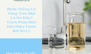 Nước Giếng Có Váng Trên Mặt Là Do Đâu? Cách Phân Biệt Dấu Hiệu Trước Khi Xử Lý