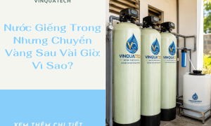 Nước Giếng Trong Nhưng Chuyển Vàng Sau Vài Giờ: Vì Sao?
