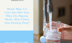 Nước Máy Có Cặn Sau Khi Vào Nhà: Do Nguồn Nước, Bồn Chứa Hay Đường Ống?