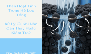 Than Hoạt Tính Trong Hệ Lọc Tổng: Xử Lý Gì, Khi Nào Cần Thay Hoặc Kiểm Tra?