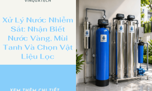 Xử Lý Nước Nhiễm Sắt: Nhận Biết Nước Vàng, Mùi Tanh Và Chọn Vật Liệu Lọc