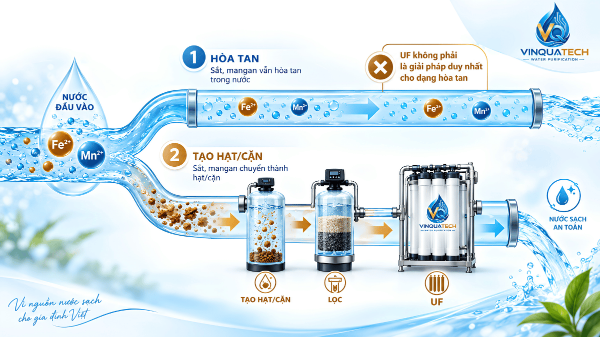 Minh họa sắt mangan hòa tan và dạng hạt trước màng UF