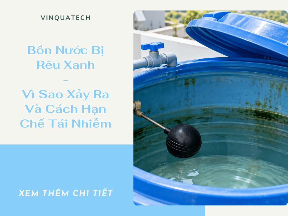 Bồn Nước Bị Rêu Xanh: Vì Sao Xảy Ra Và Cách Hạn Chế Tái Nhiễm